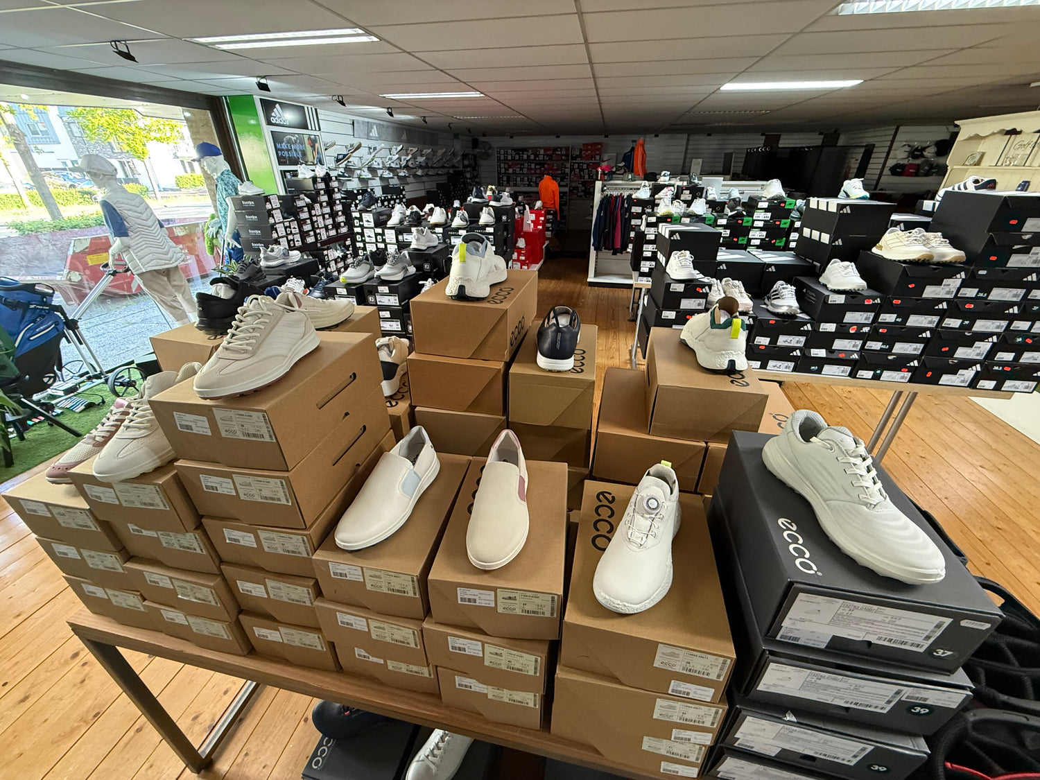 Schoenen