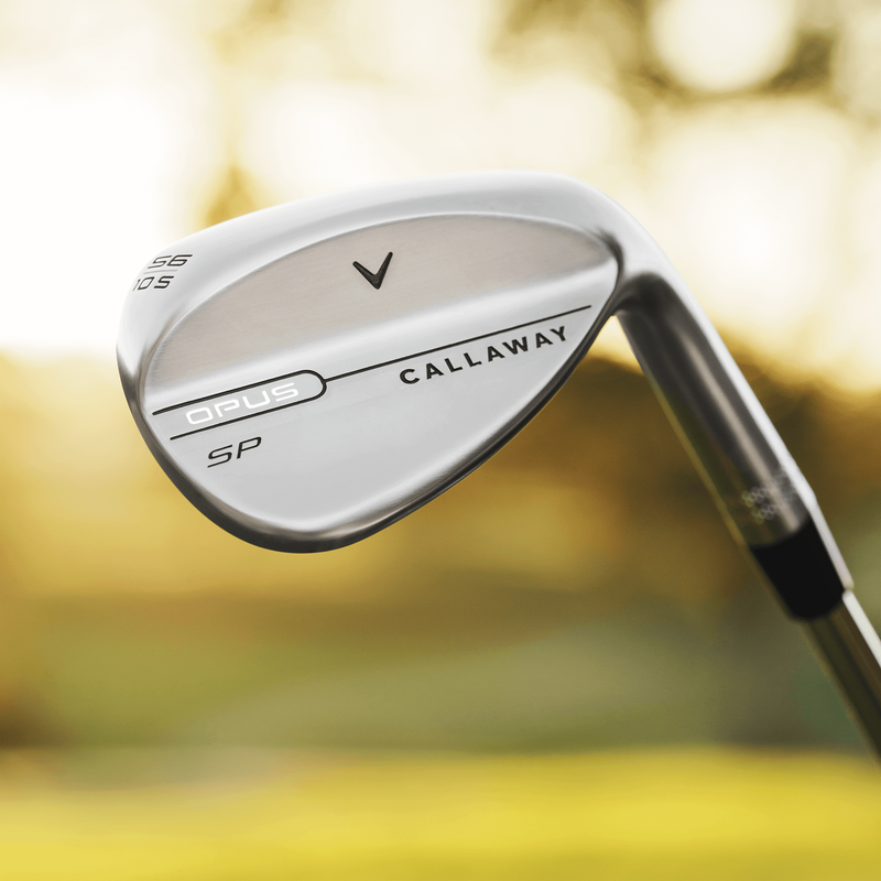 Opus SP Wedge Staal DG S200